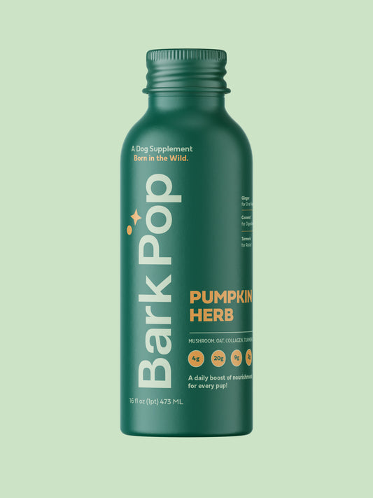 Barkpop Pumpkin Brew